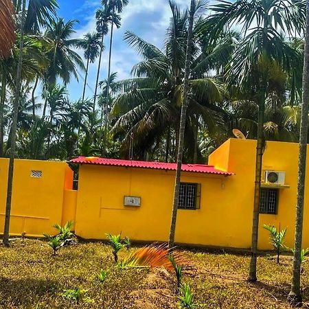 Shivalaya Farmstay Located Amdist Coconut Farm With River Access Near Isha,Adiyogi,Siruvani Alāndurai Exterior foto